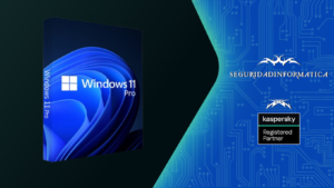 Windows 11 pro Audit-Ready Edition