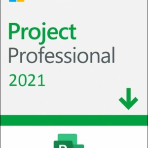 Project Profesional 2021