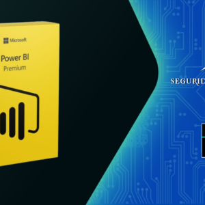 Power Bi Premium 100 Usuarios-100% Auditable