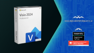 Visio Profesional 2024 Vinculable
