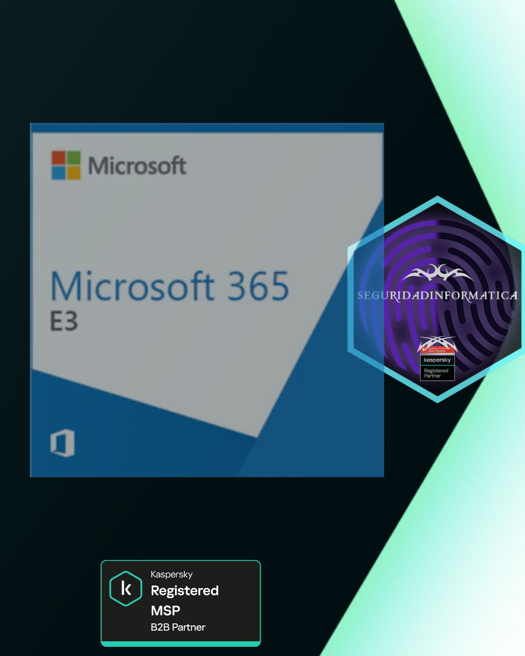 Microsoft office e3 1000 usuarios